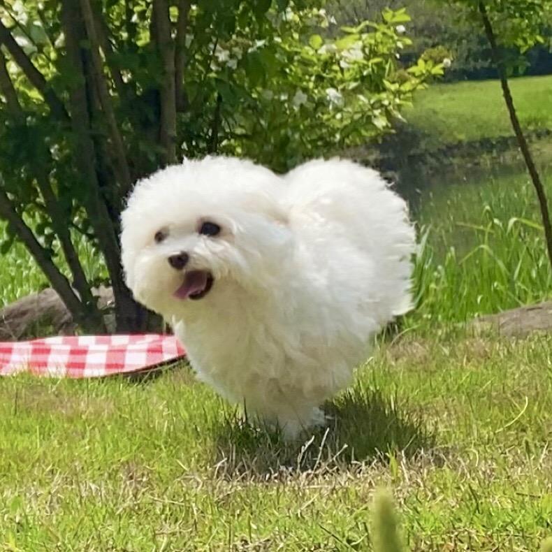稀饭馒头