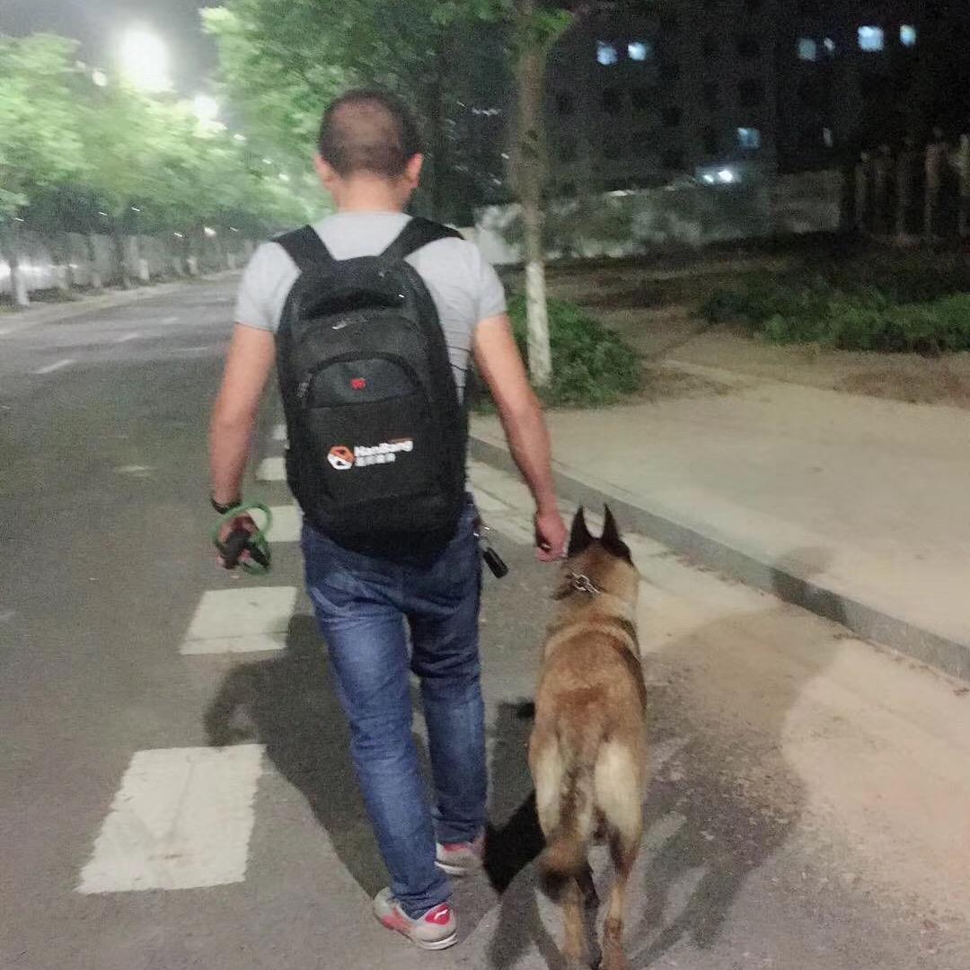 唐伯虎点蚊香^_^忠肝义胆