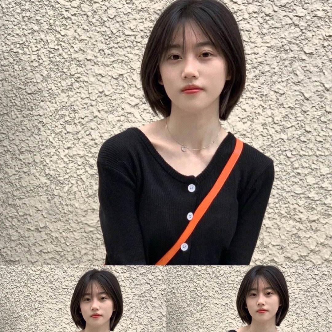 泰迪比熊