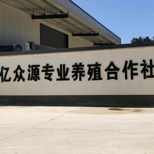 亿众源专业养殖合作社