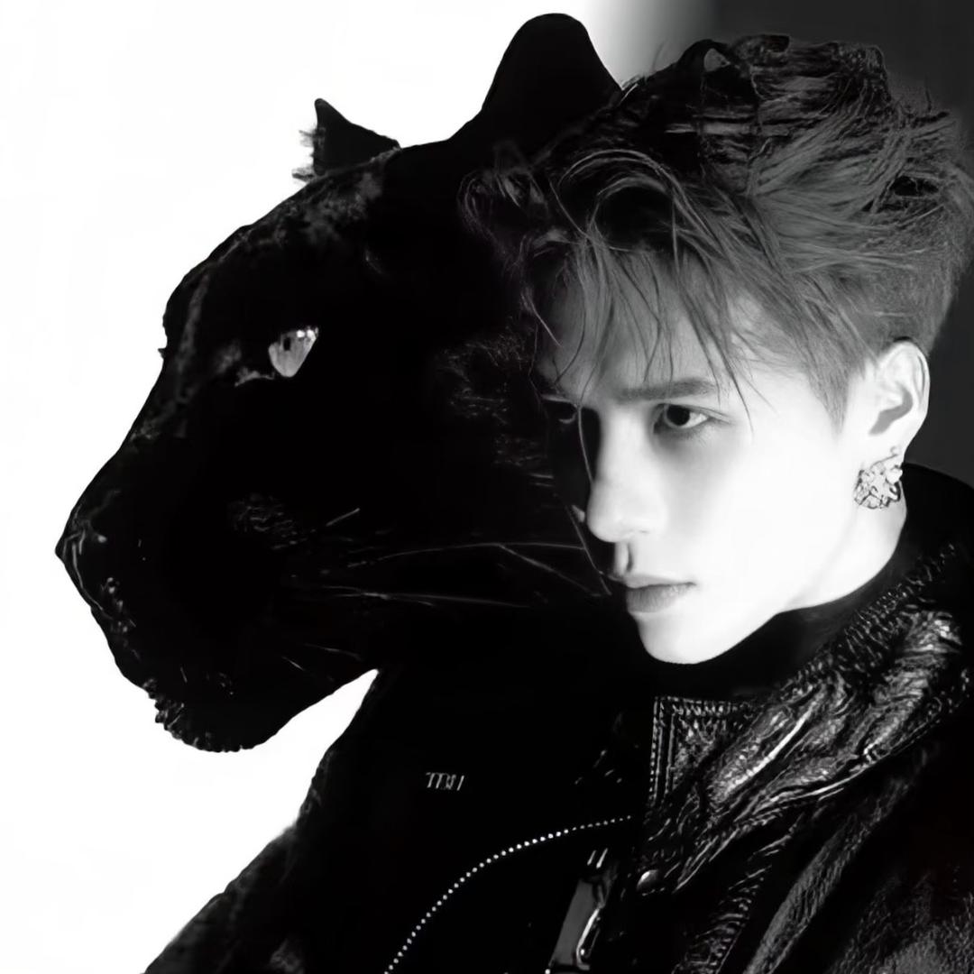 小陌[公屏互动版]