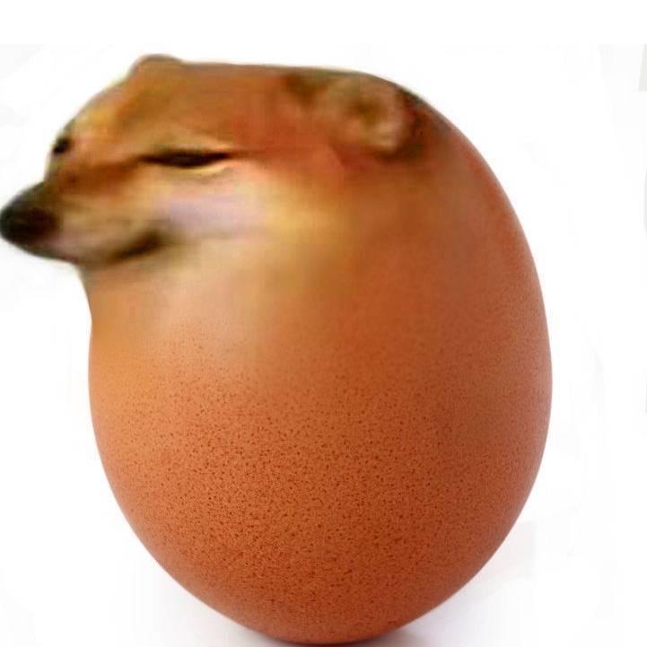 狗蛋