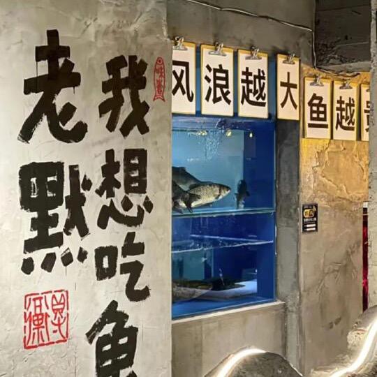 石锅金福鱼(滁州城北店)专用号