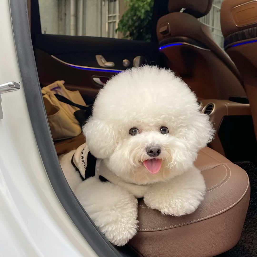 💙 ♡𝕓𝕖 𝕙𝕒𝕡𝕡𝕪