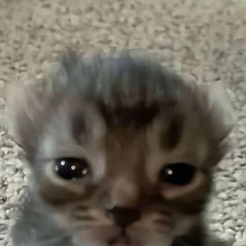 爱吃肉的棒男孩