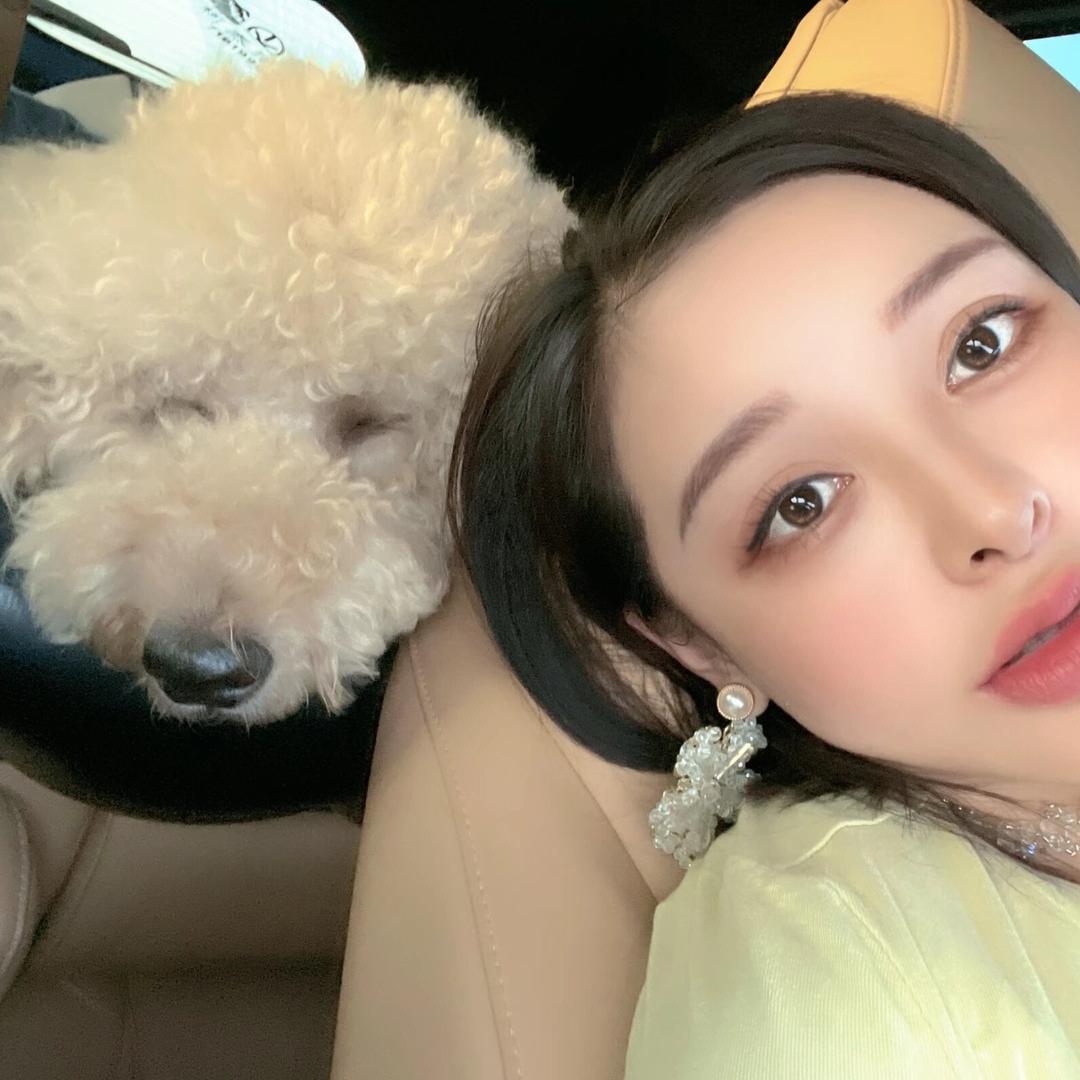 帝王谢的装修日记🏠