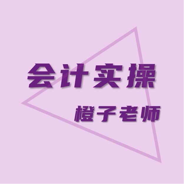 橙子老师-会计实操