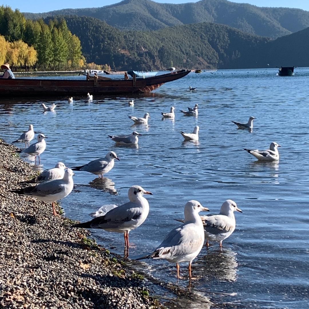 武汉知艺宋老师带你环游地球
