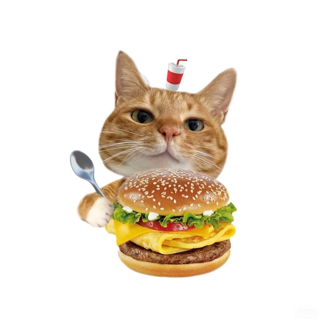 猫小七