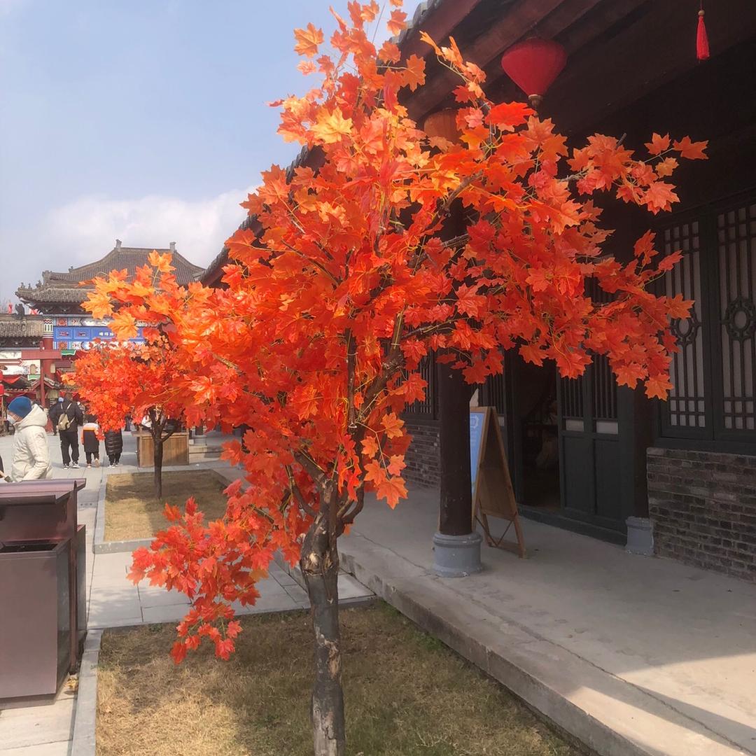 铁拐李