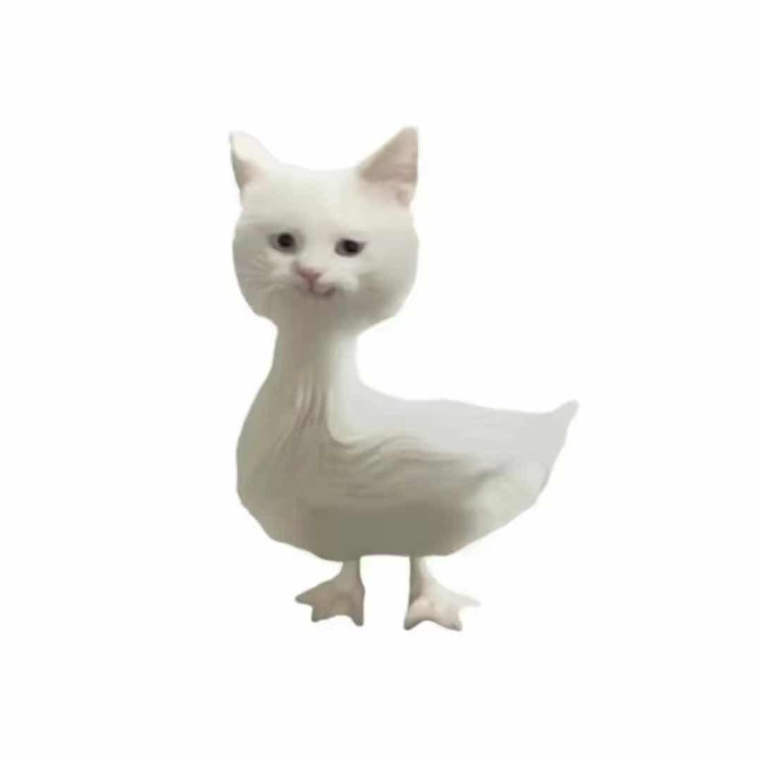 小新的草稿箱