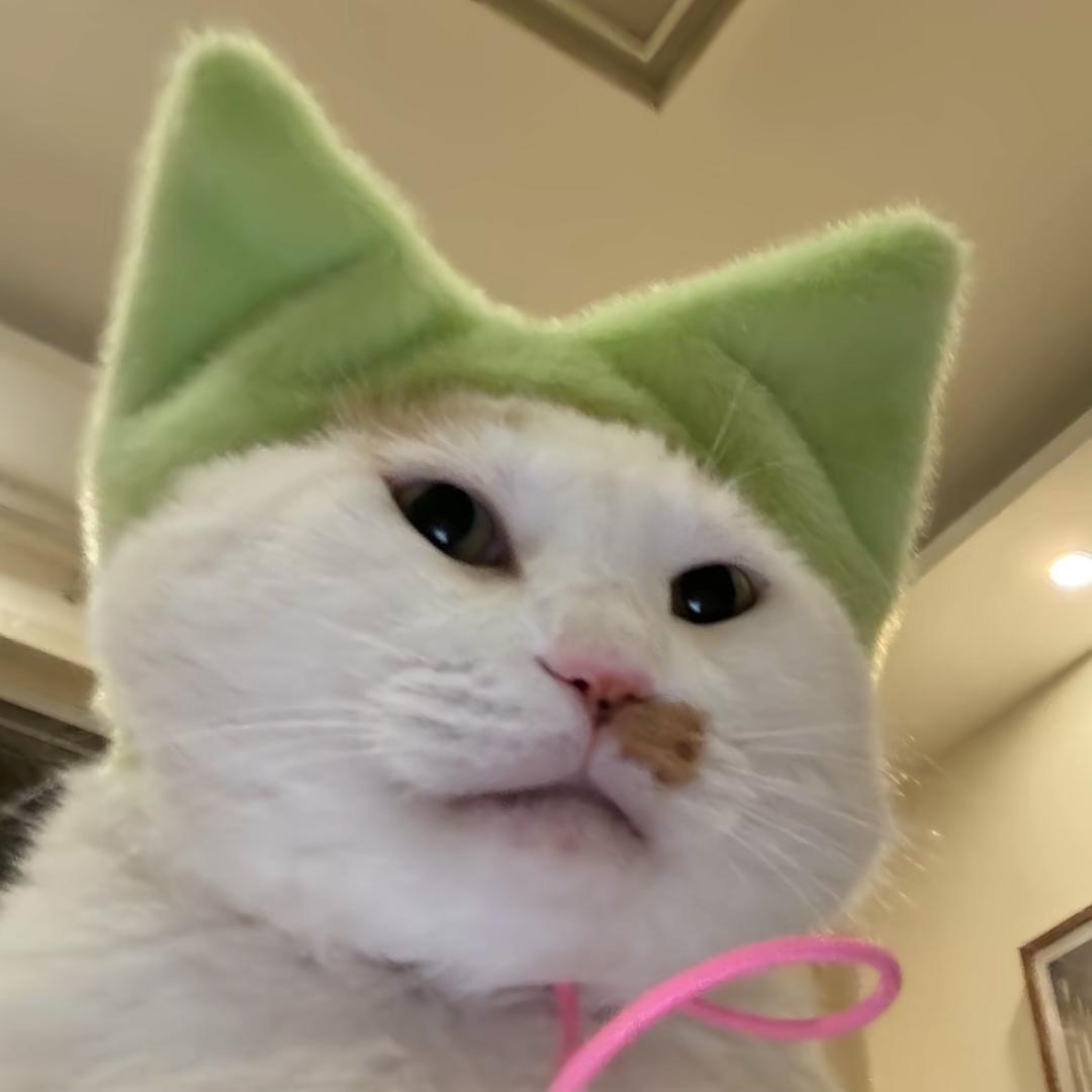 哭的发芽了