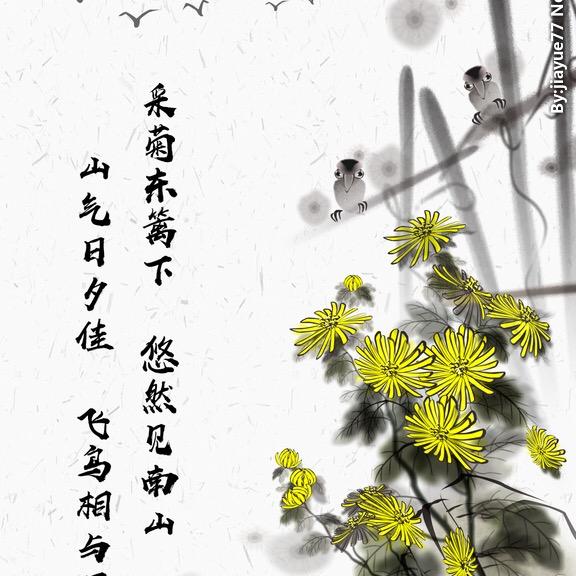 乡野闲云