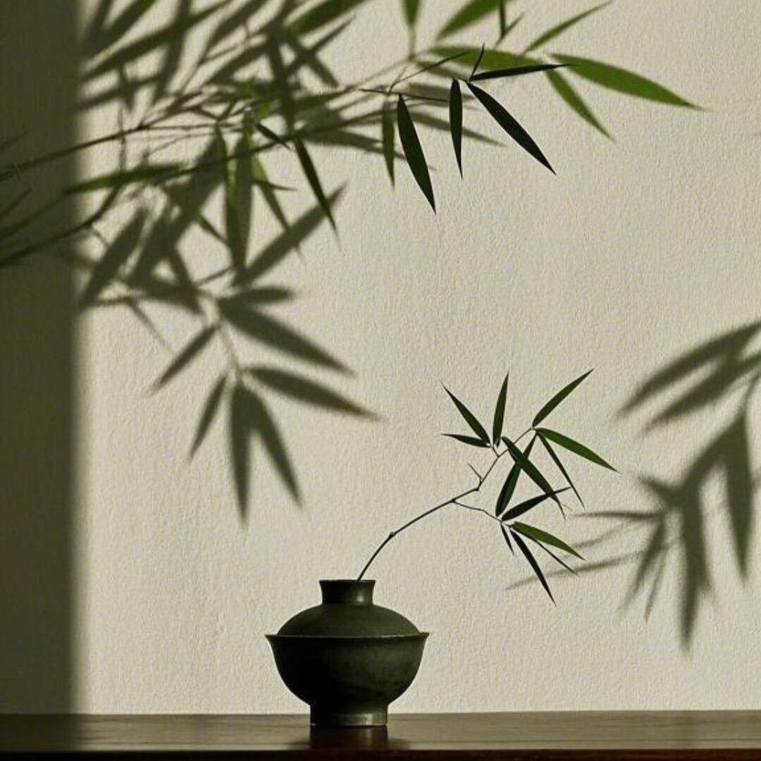 言真师兄