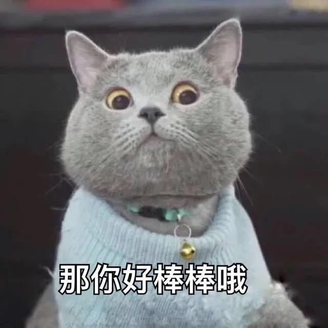 周而复始的夏天头像