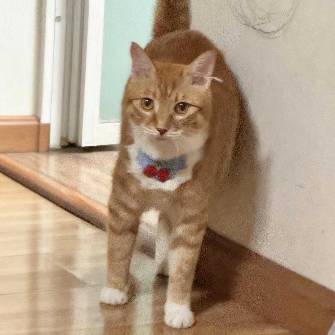 王英俊的幸福生活