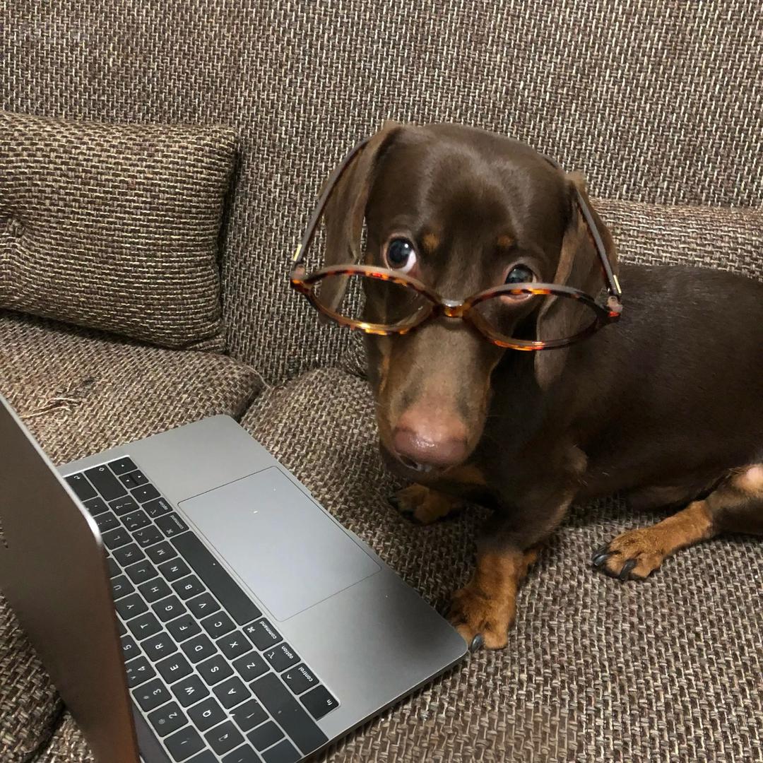 溏心蛋🍳 Nail（小作坊版）