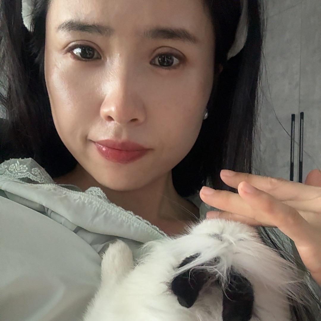 大肥猫