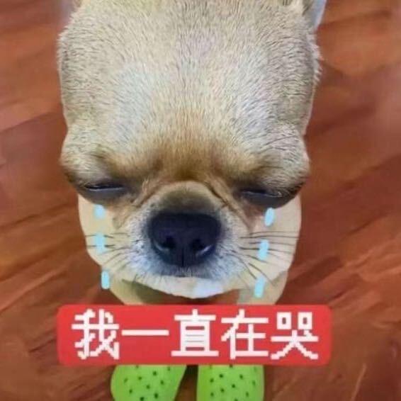 玄玄玄