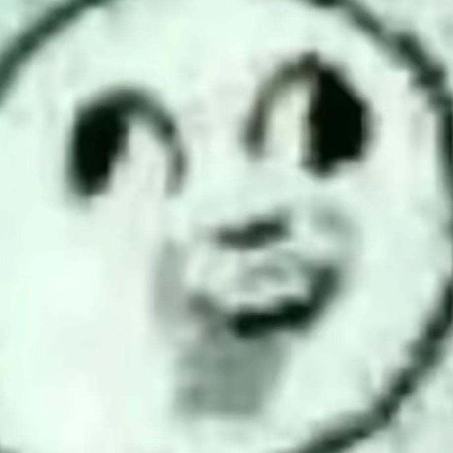 爱魔术的奶牛猫