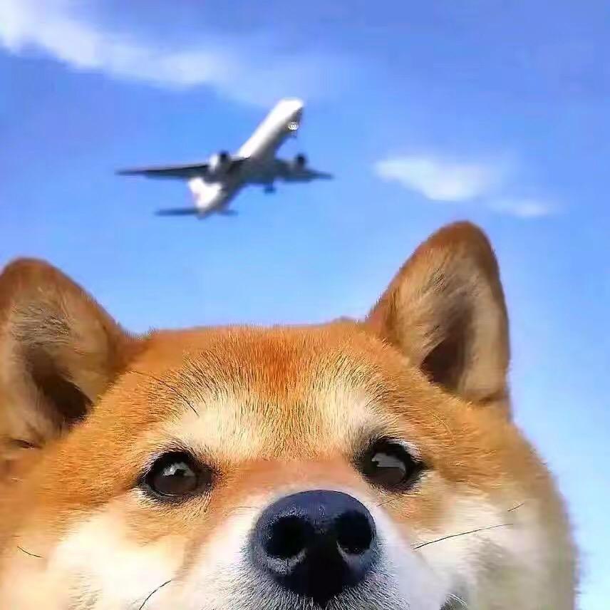 😀😀😀
