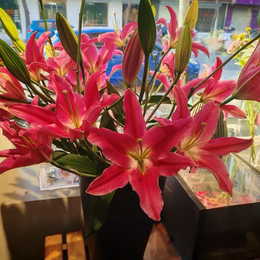 东北凌源小语鲜花批发团购