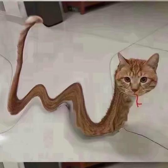 去了个秋