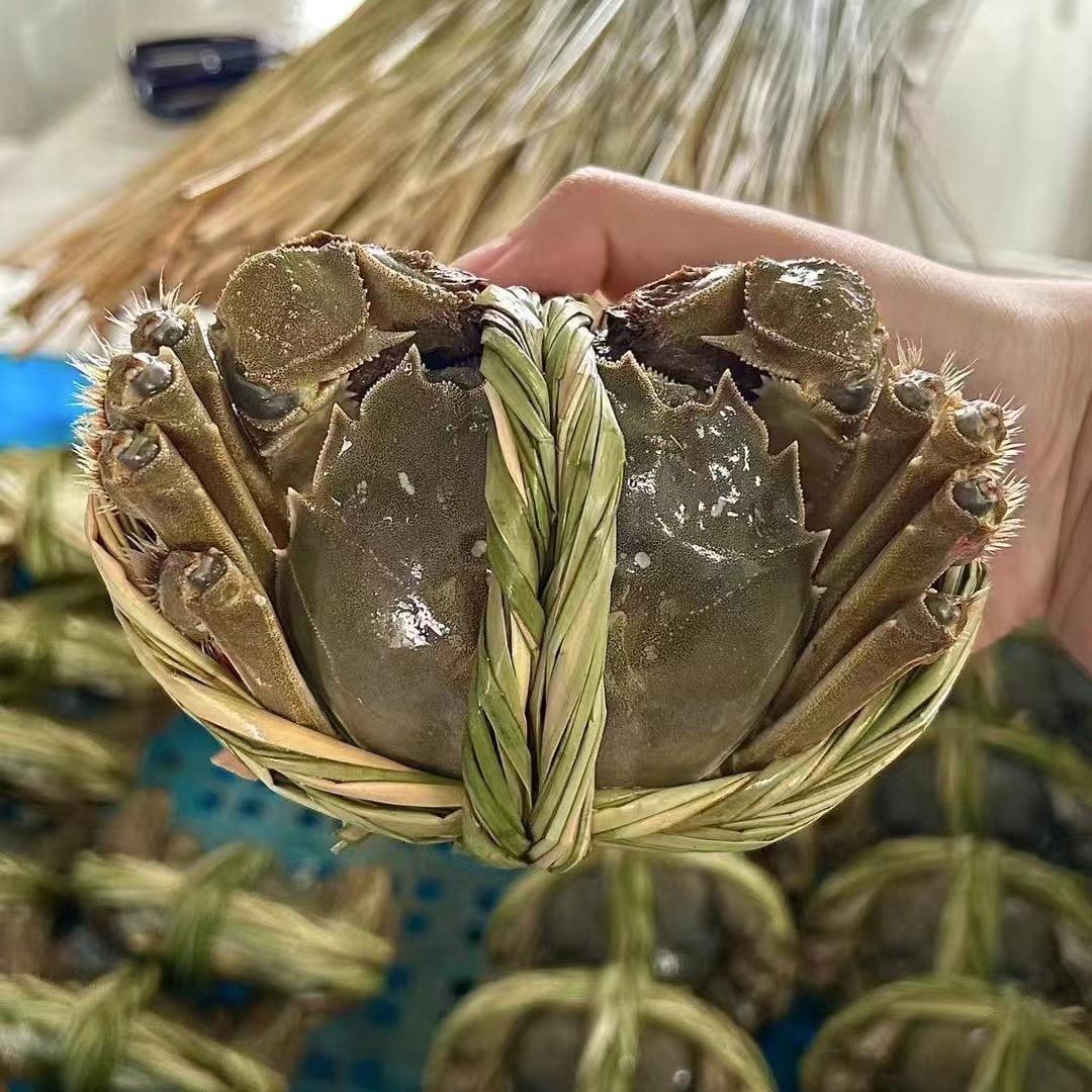 卖螃蟹🦀的大崔哥