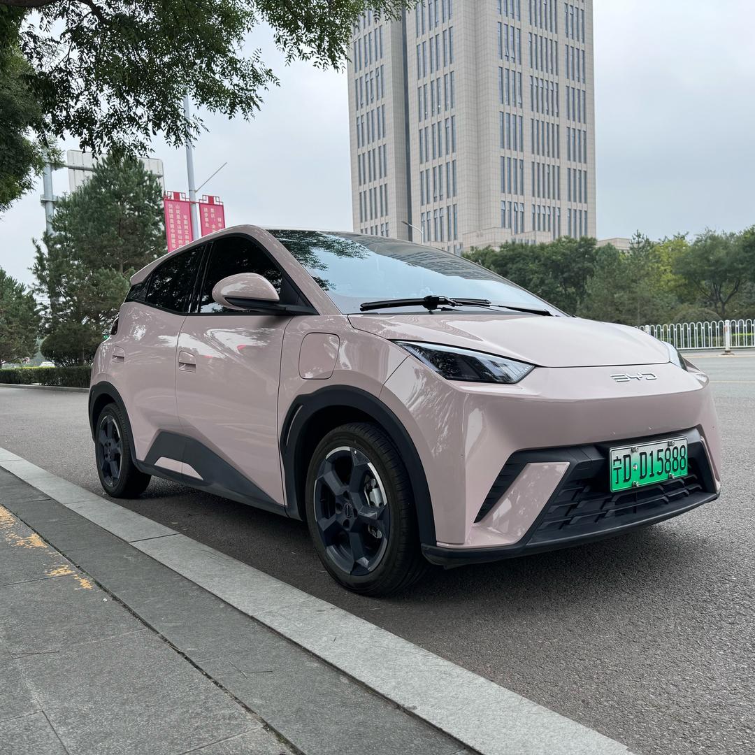小粉鸥
