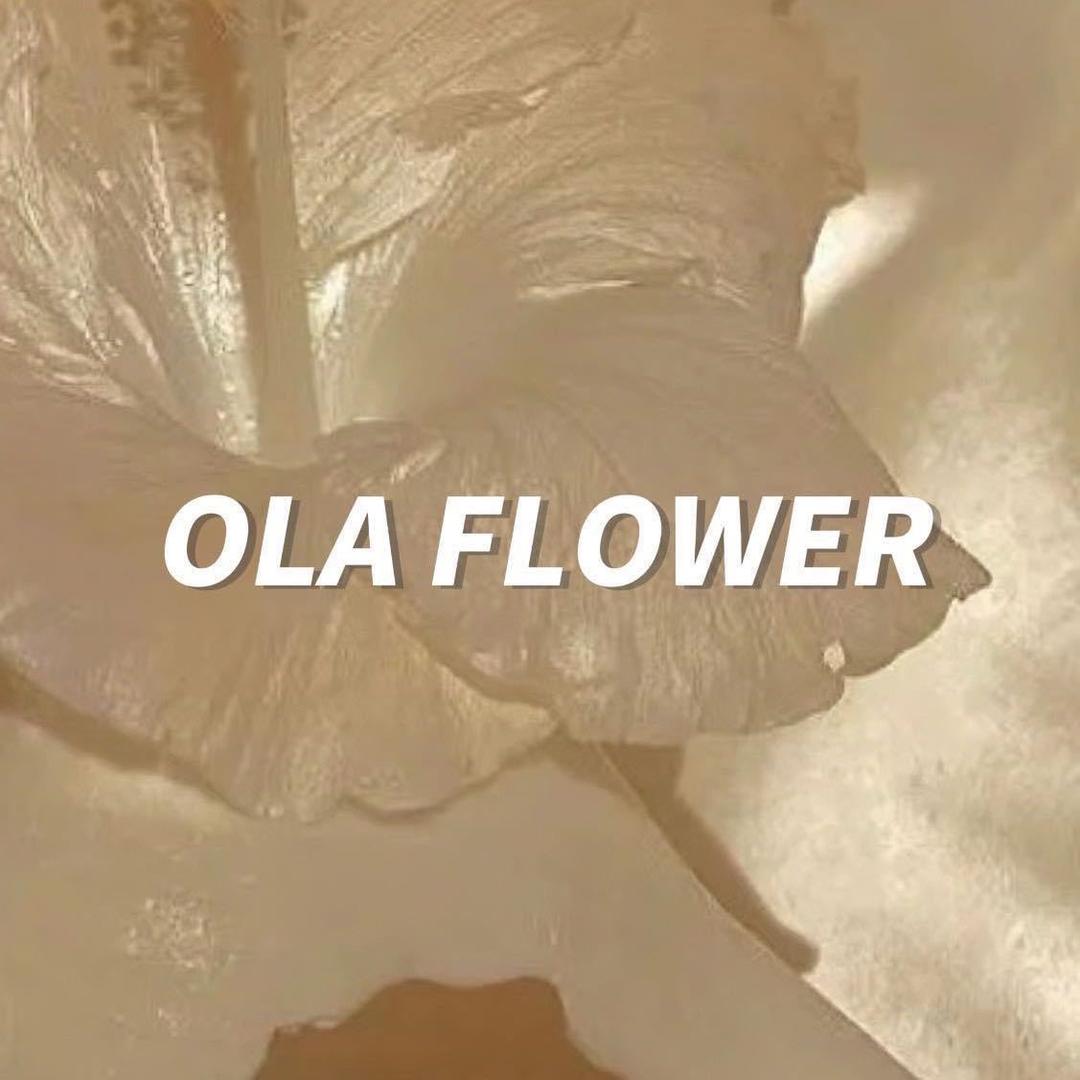 OLAFLOWER 花店