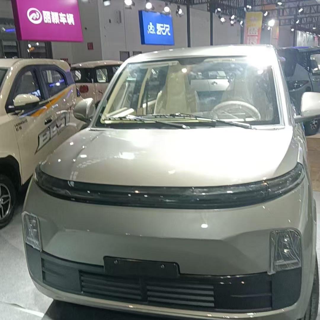 西部电动车市场（刘明星）