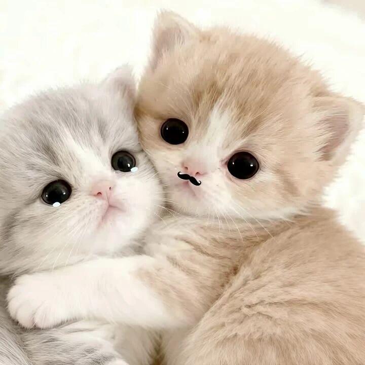 wuuuu