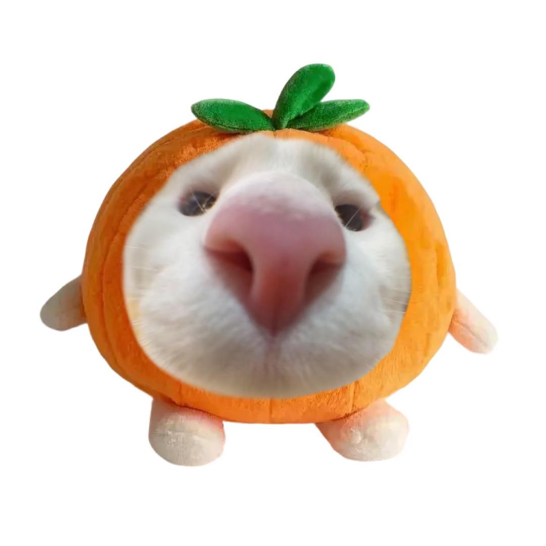 枕头