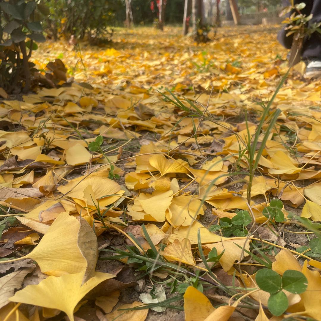 一生一世一双人