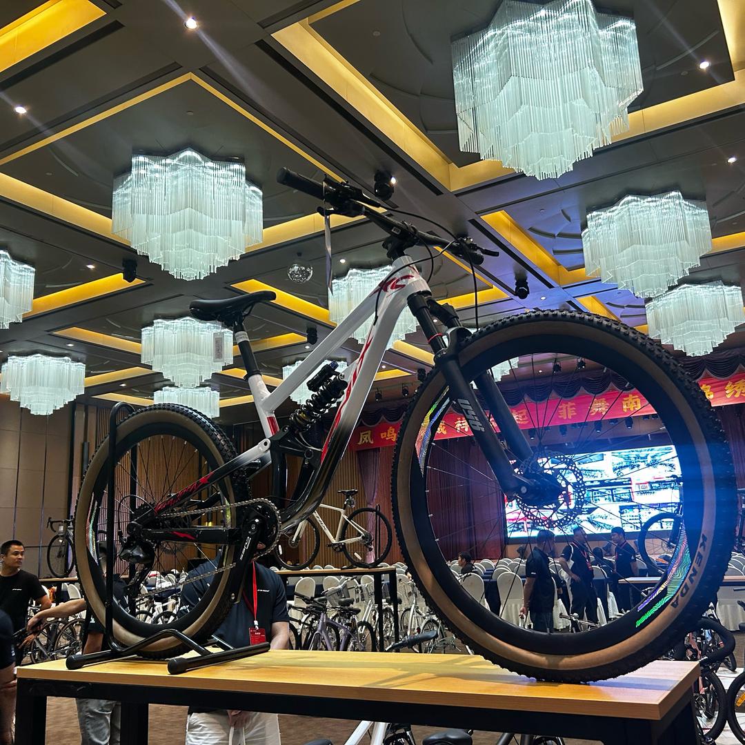 凤凰自行车
