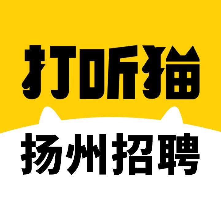 扬州招聘打听猫