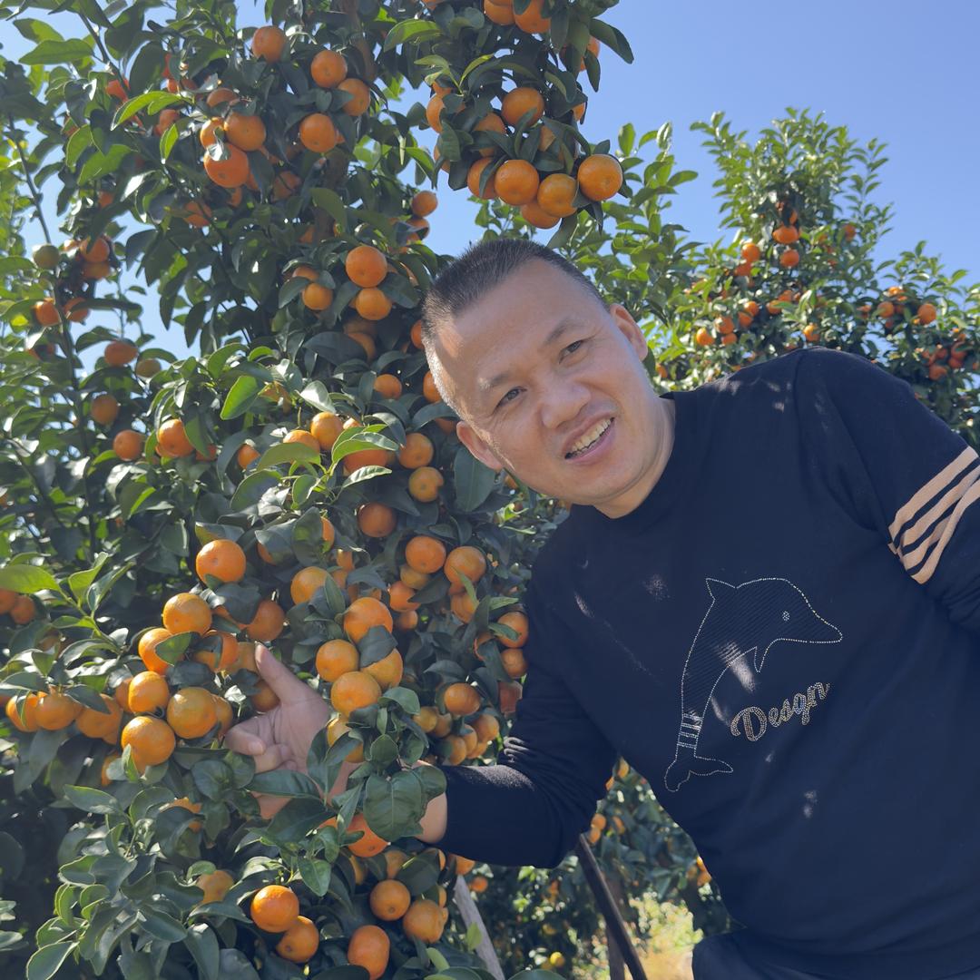 猴哥说农（桂林）