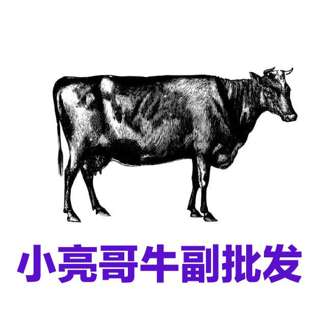 小亮哥摆摊记（牛副批发）
