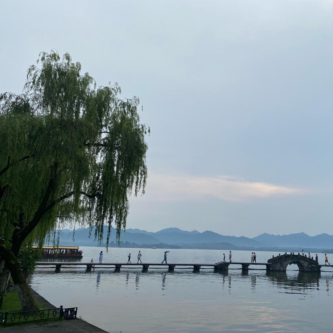 霄羽