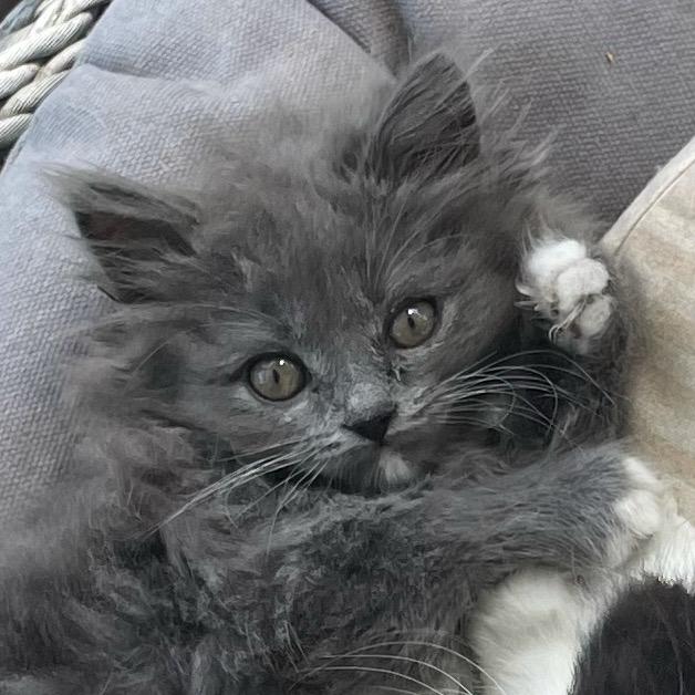 人性故事馆@抖音