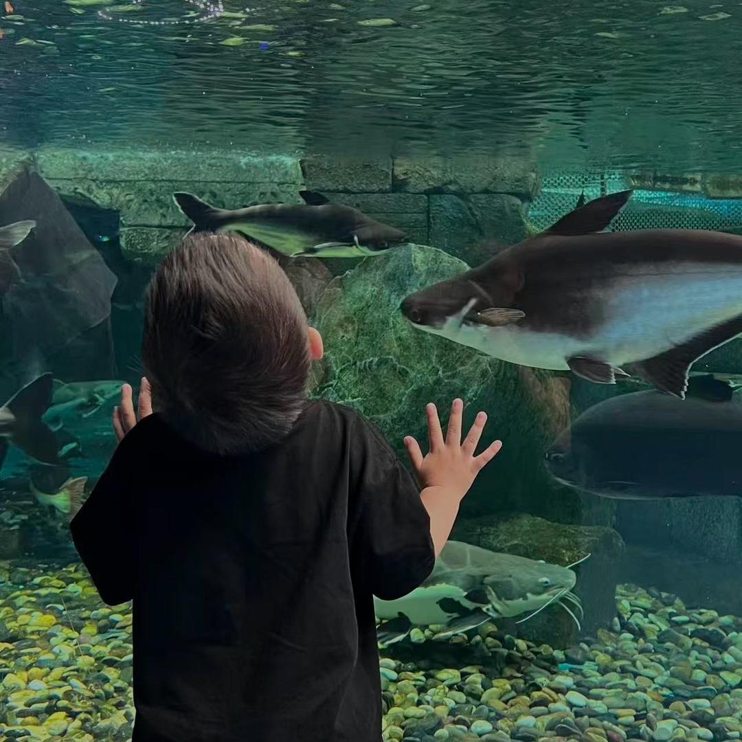 重庆路亚-江之子