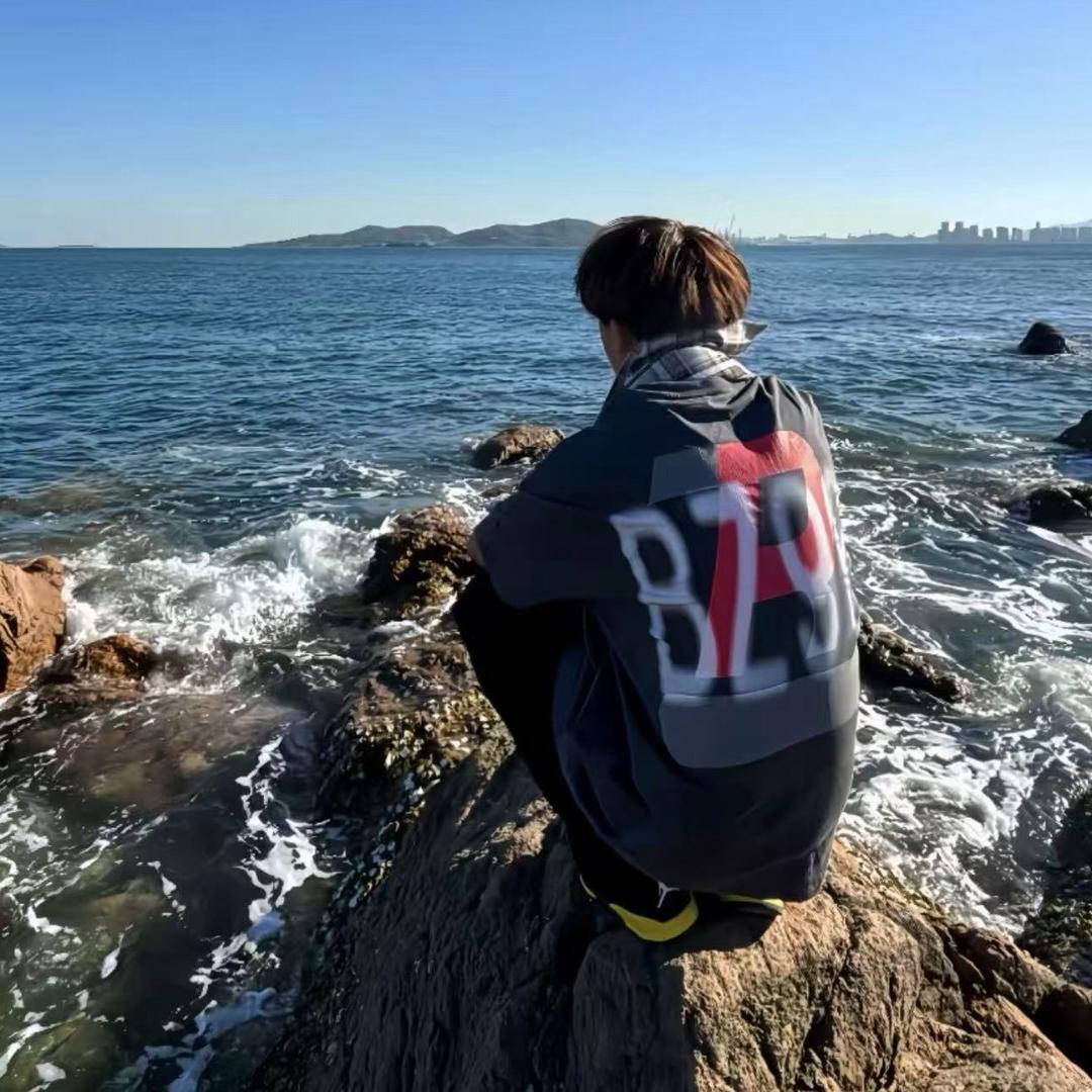 铁锅炖大鹅.