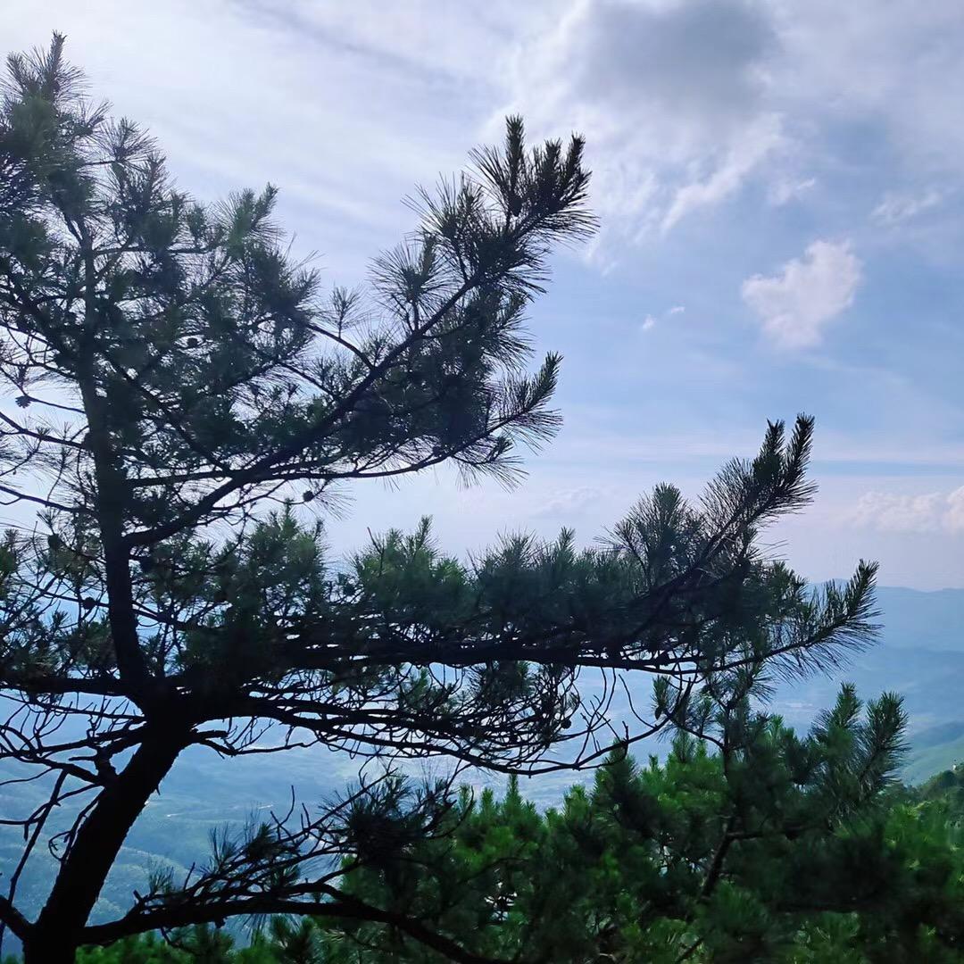 胡子哥哥爱听歌