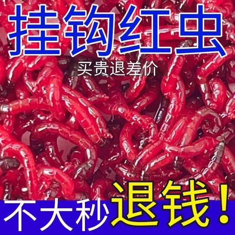 天天红虫