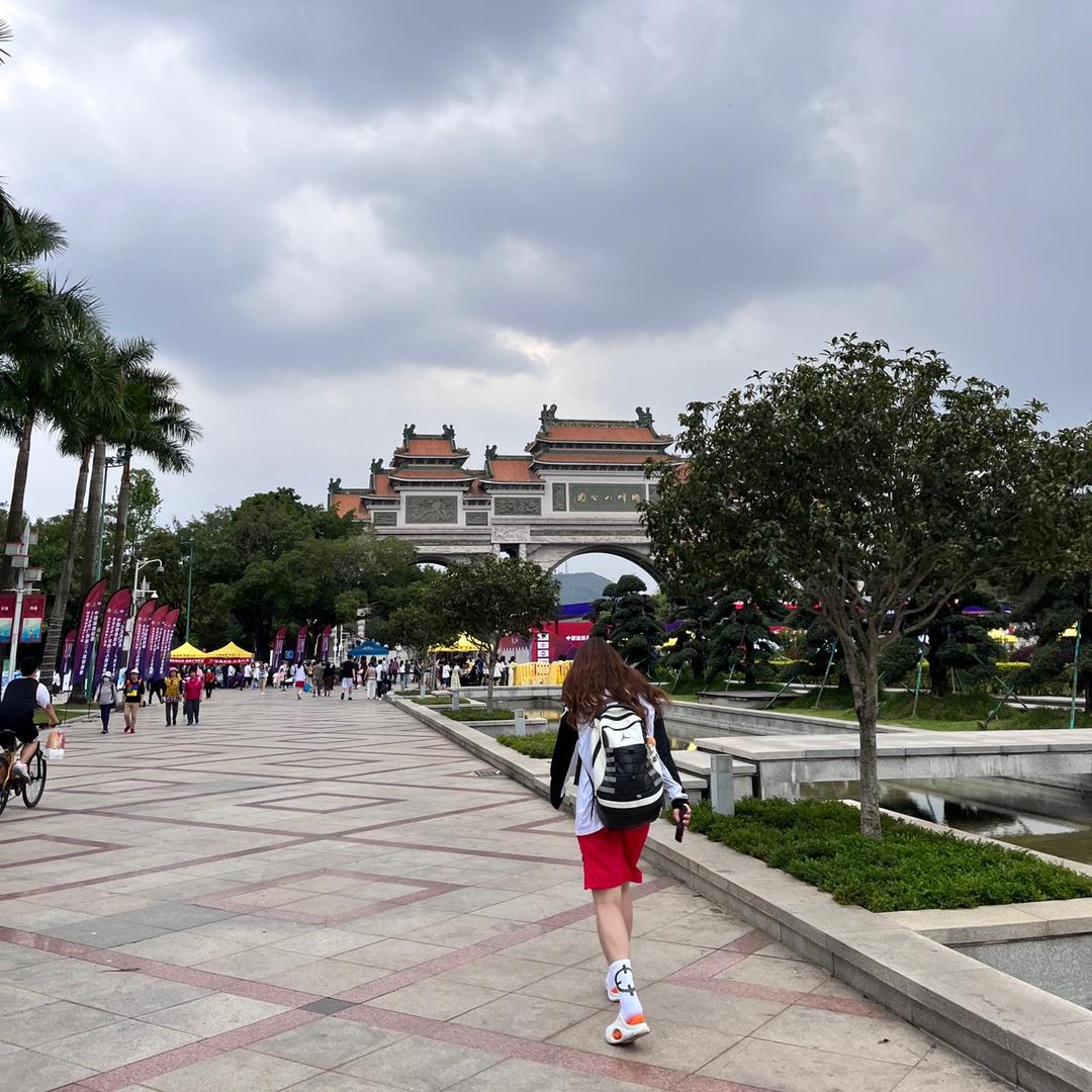 小飞象是我呀🏀