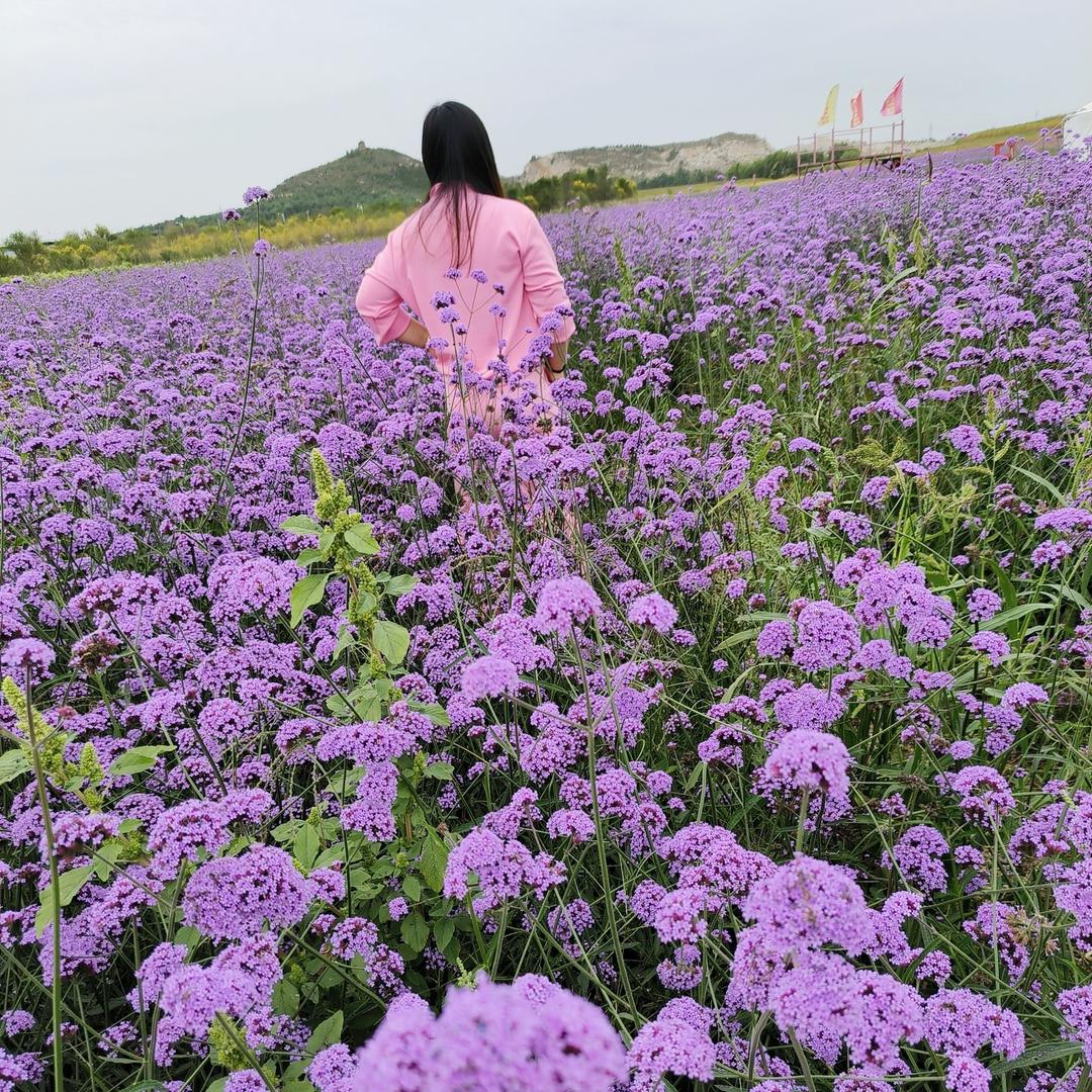 Zঞ ꦿ秋 ໌້ᮨ꧔ꦿ᭄💕