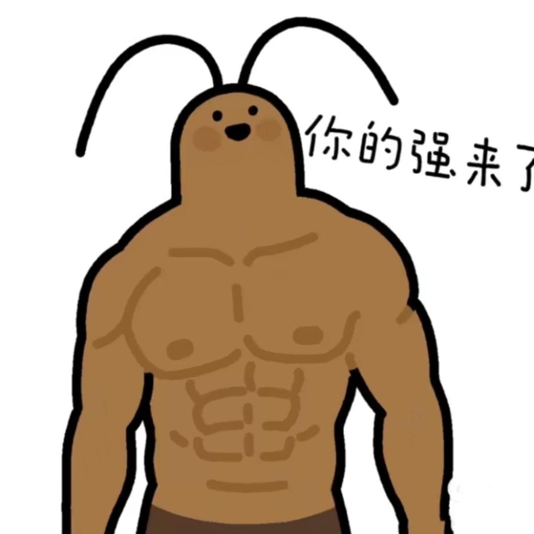 39度农业路网管