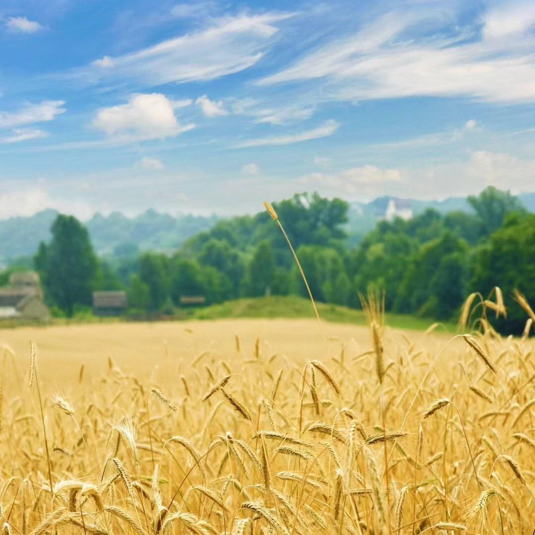 茸万居家