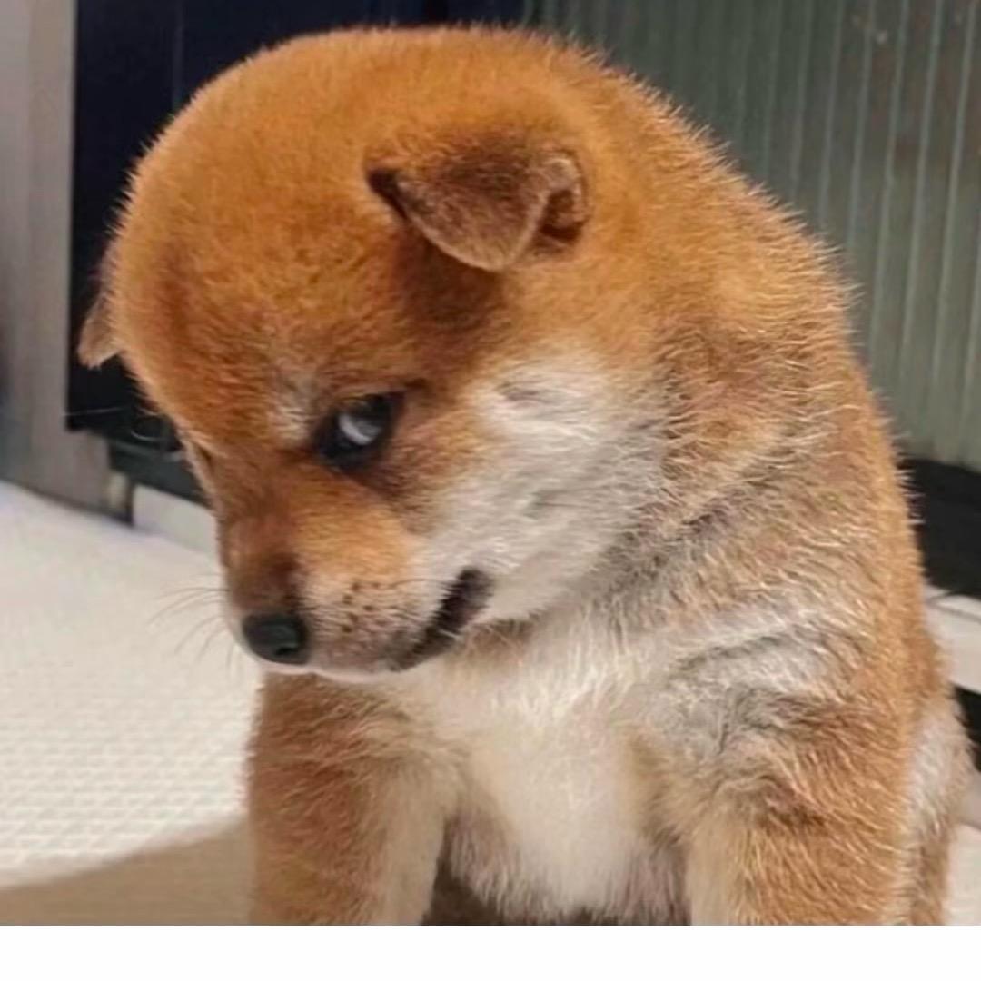 滴滴答答