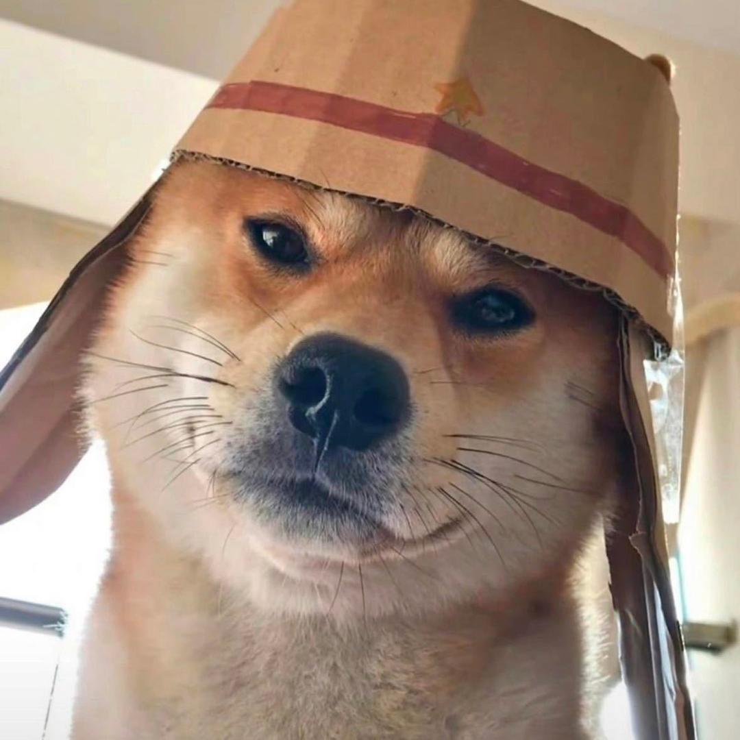 春生